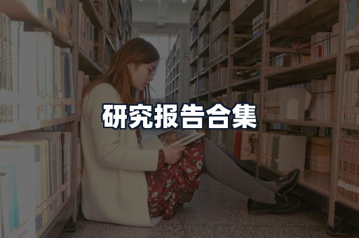 研究报告合集